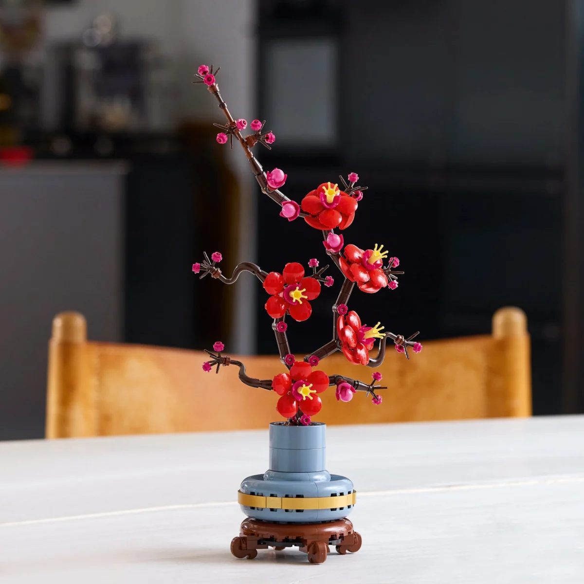10369-Plum-Blossom-Lifestyle-
