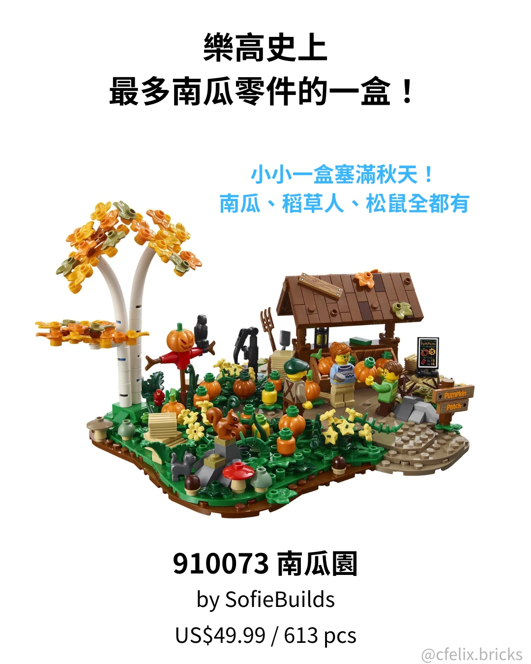 910073 南瓜園 Pumpkin Patch BrickLink Designer Program Series 9