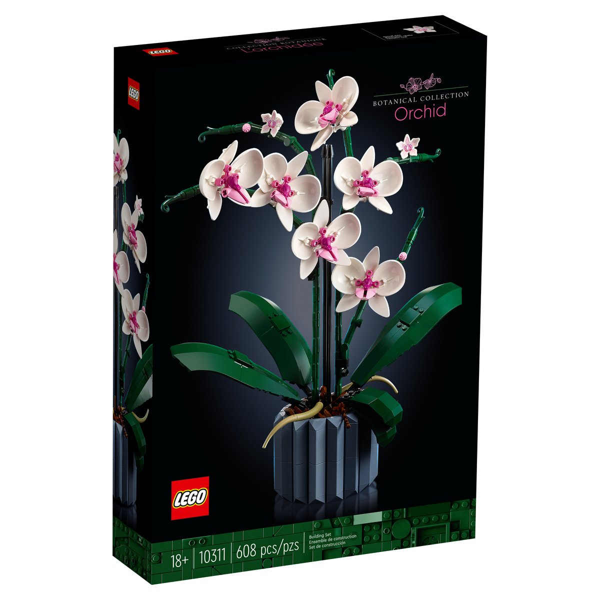 LEGO 10311 蘭花